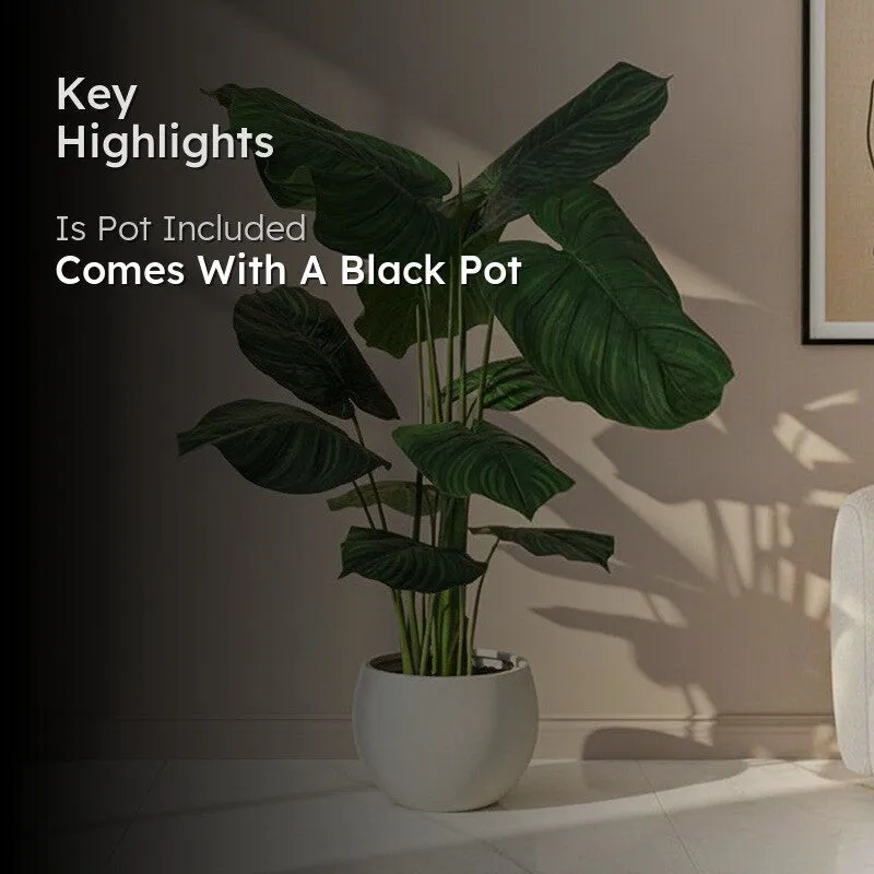 Artificial leafy plant shown in a bright room with a rounded pot