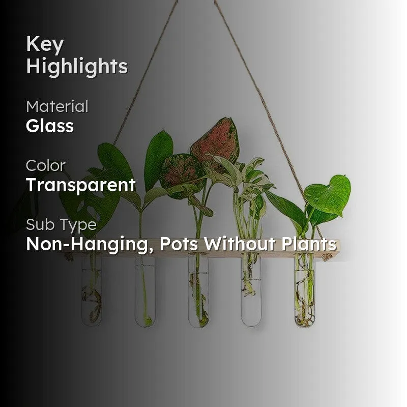 Arana Test Tube Planter media 2