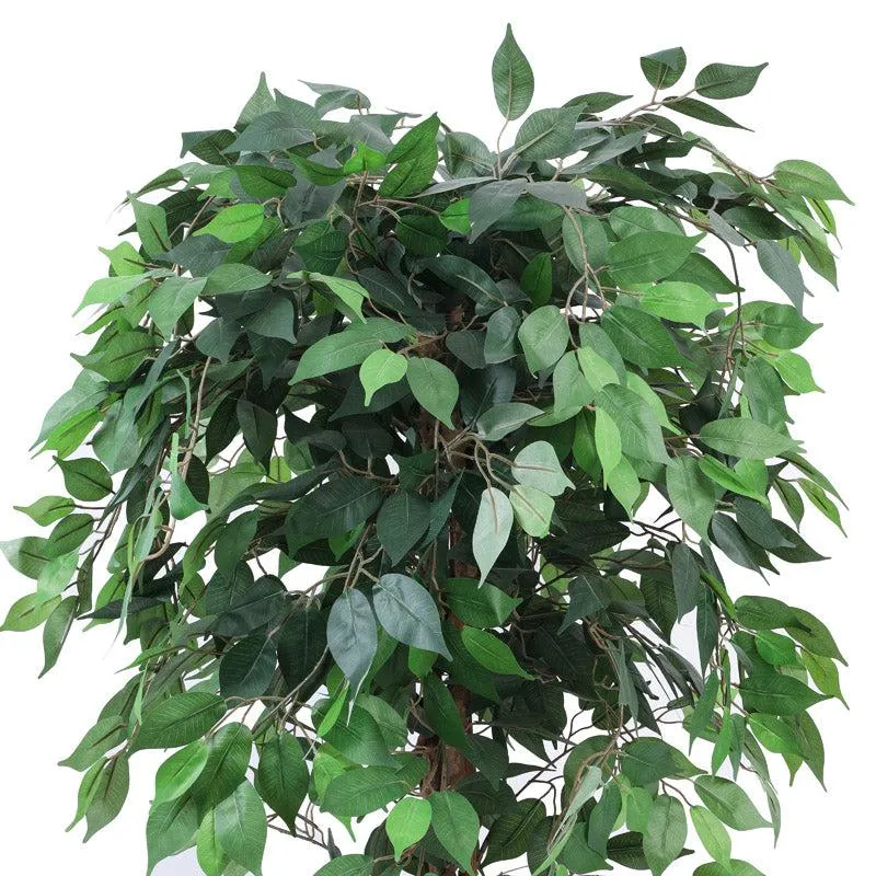 Artificial Realistic Ficus Plant With Black Plastic Pot - 5.9 Feet media 7