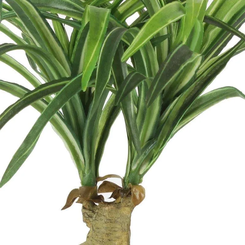 Faux Nolina Bonsai In Ceramic Pot - 29 cms media 3