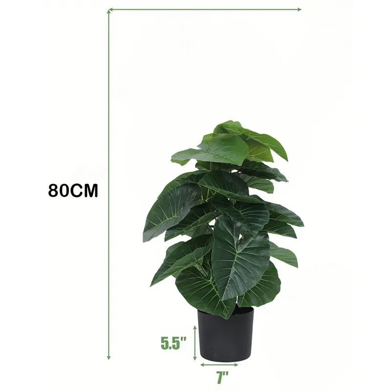 Leafend Artificial Rubber Plant With Black Plastic Pot - 2.6 Feet media 6