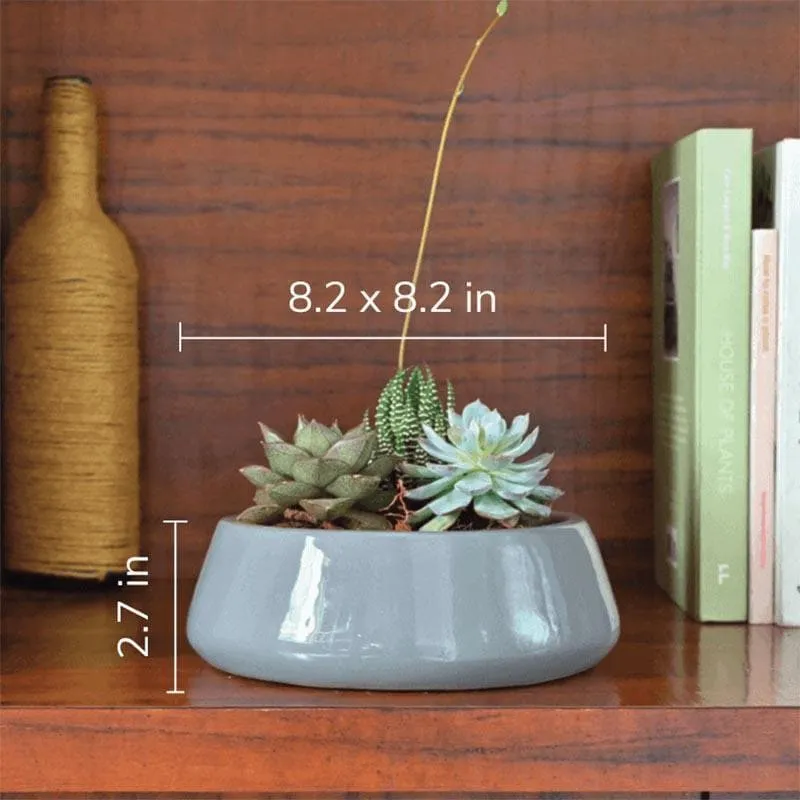 Ugaoo Tulip Fantasy 6032 Grey Ceramic Pot media 4
