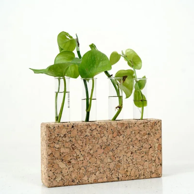Nexo Cork Testube Planter media 3