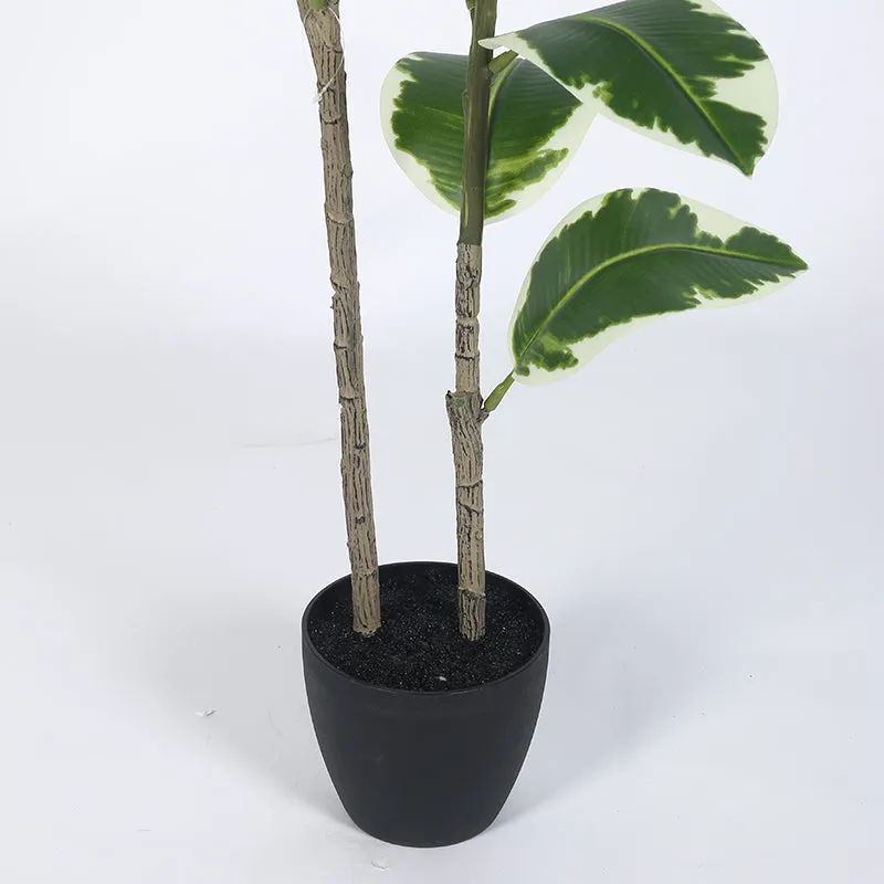 Arvore Artificial Rubber Plant With Black Plastic Pot - 4 Feet media 5