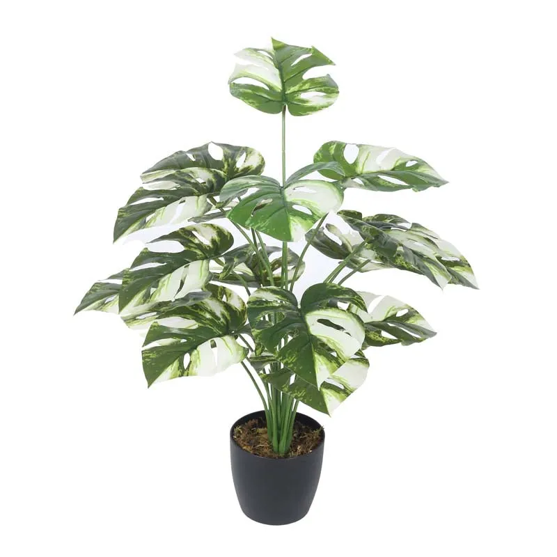 Faux Lush Monstrera Plant With Black Plastic Pot - 2.3 Feet media 5