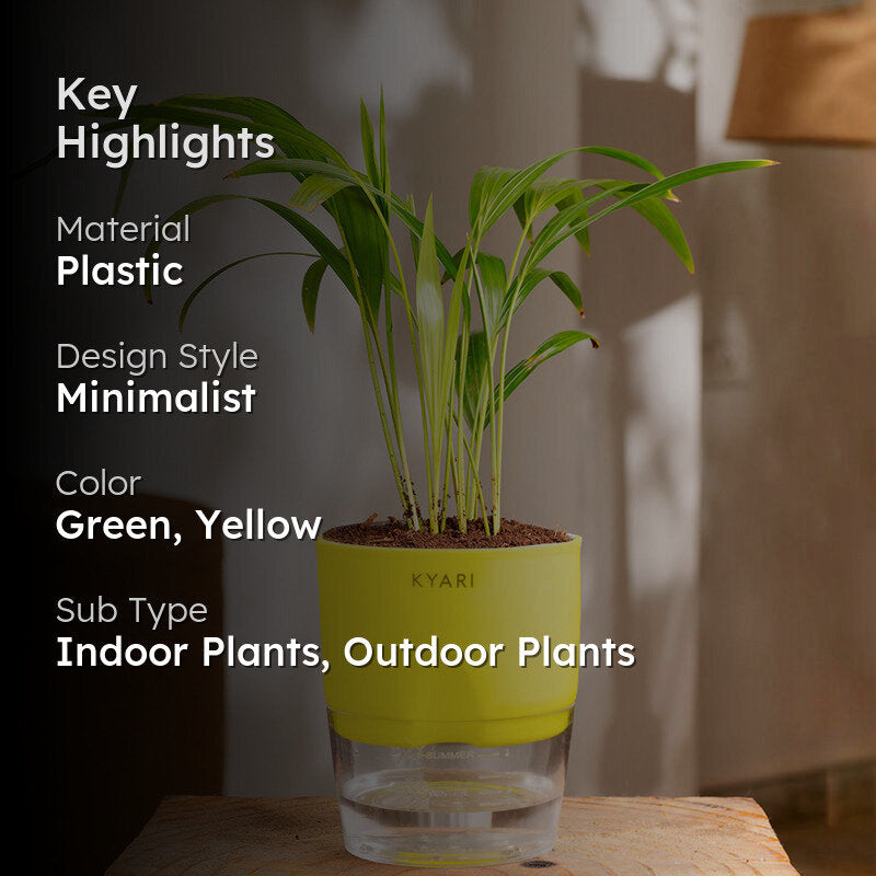 Kyari Areca Palm With Self Watering Pot - Yellow media 2
