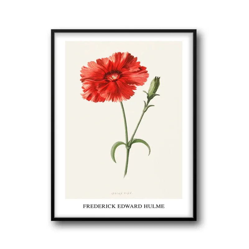 Indian Pink Frederick Edward Hulme Archival Canvas Wall Painting - Black Frame media 5