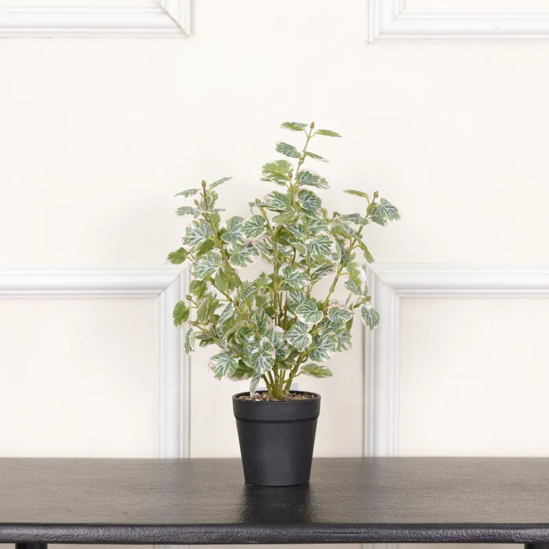 Artificial Geranium Plant With Black Fiber Pot (White) - 1.4 Feet media 3