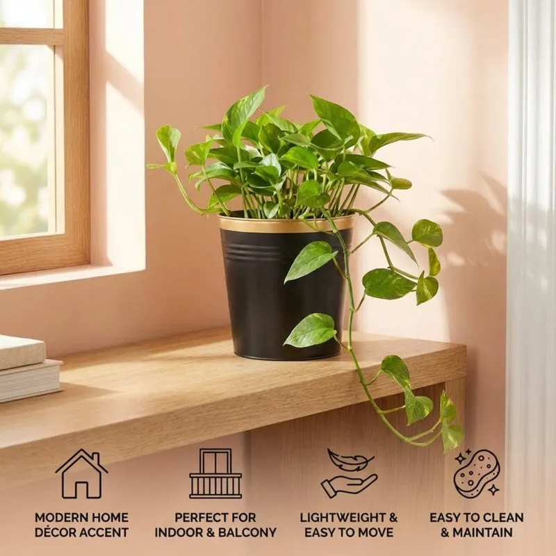 Leafora Iron Planter - Black media 9