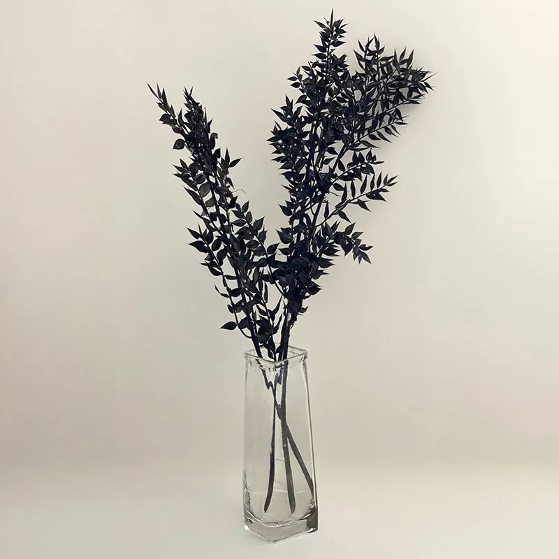 Dried Ruscus Bunch (Black) - Set Of Three media 3