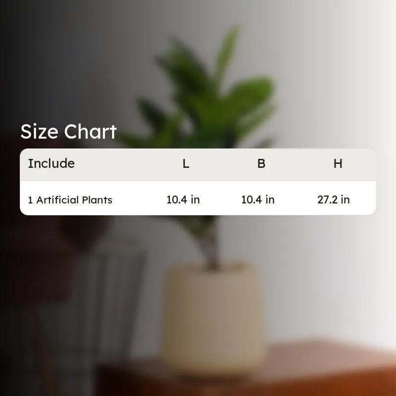 Artificial Small Rubber Plant Without Pot - 2.2 Feet media 6