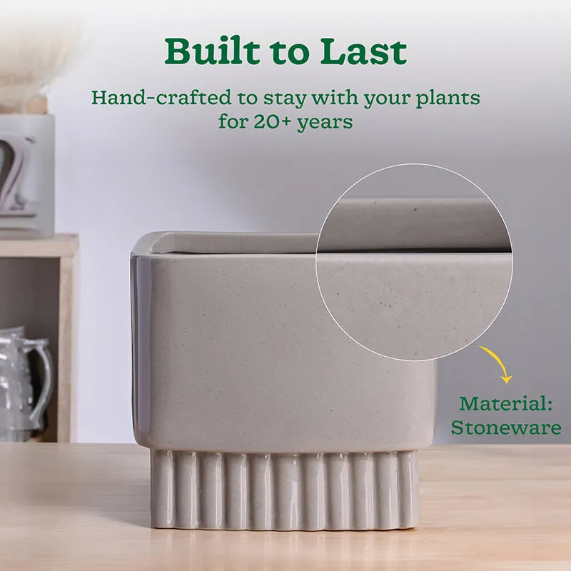 Ugaoo Sleepy Sprout Square Ceramic Planter - Light Grey media 4