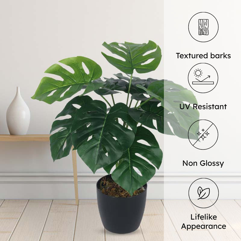 Lush Tropiks Artificial Mostera Plant With Black Plastic Pot -  1.8 Feet media 6