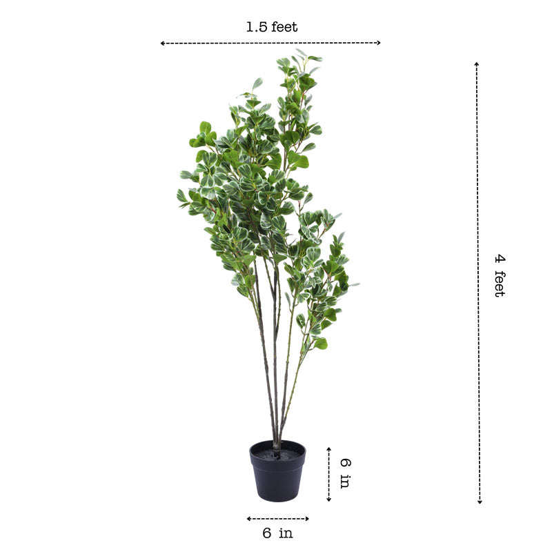 Artificial Realistic Schefflera Plant With Black Plastic Pot - 3.9 Feet media 8