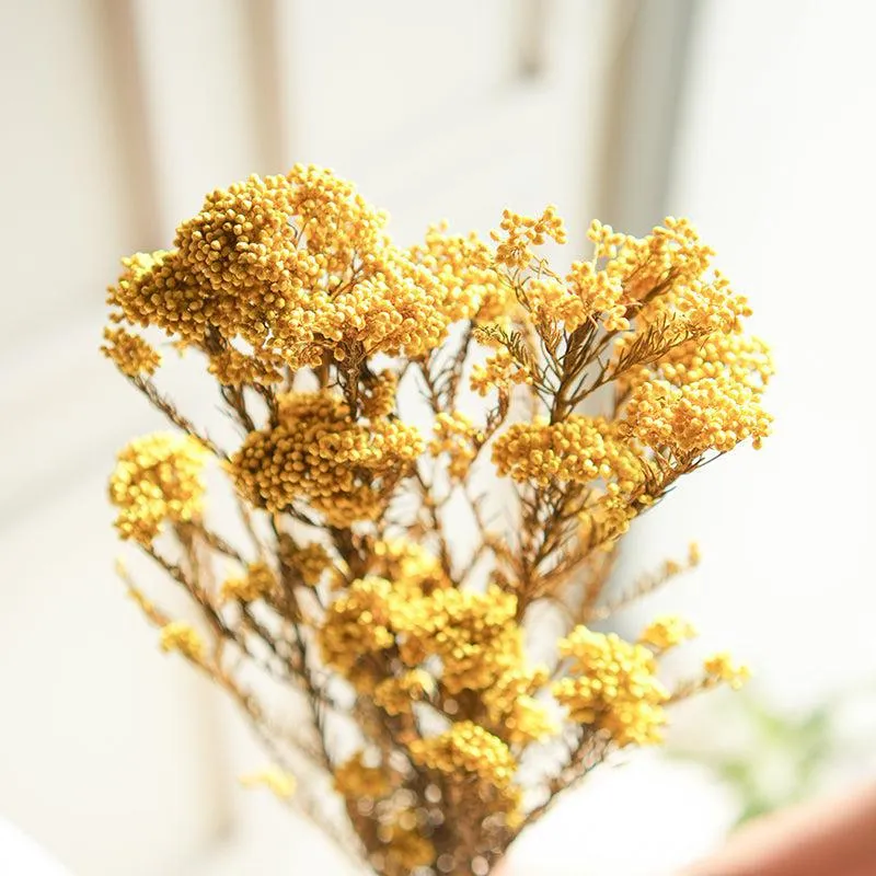 Artificial Rice Flower Stem (Yellow) - Set Of Three media 4