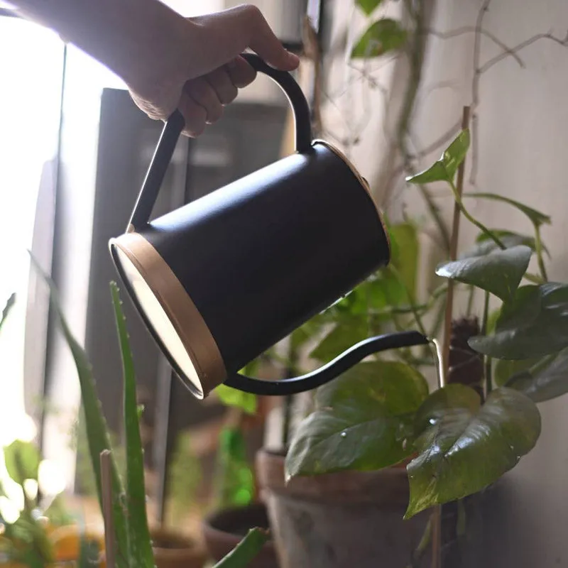 Edana Watering Can - Black media 1