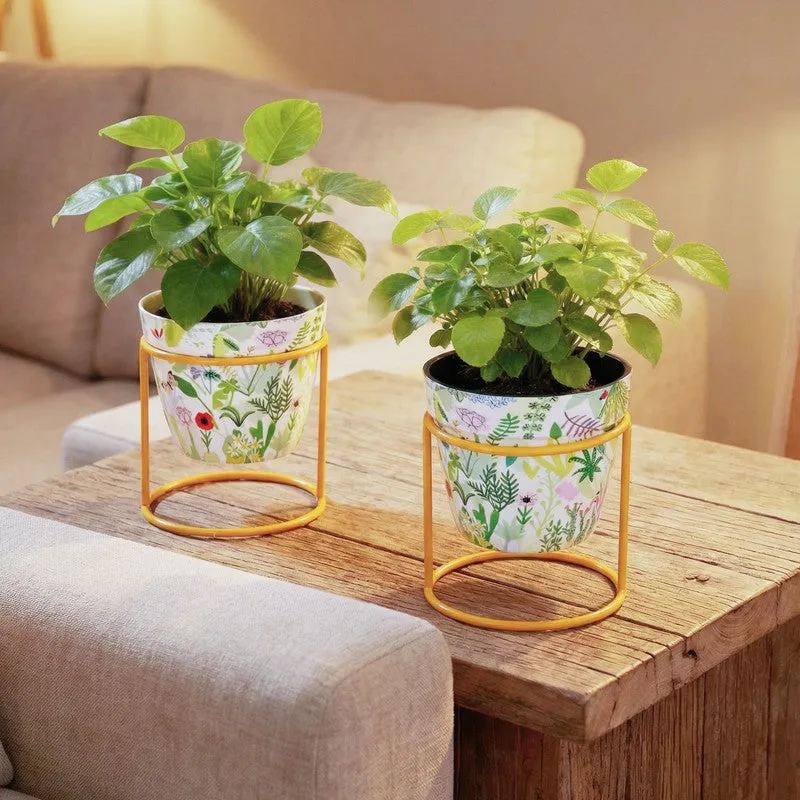 Glaze & Grow Metal Planters With Stand - Four Piece Set media 3
