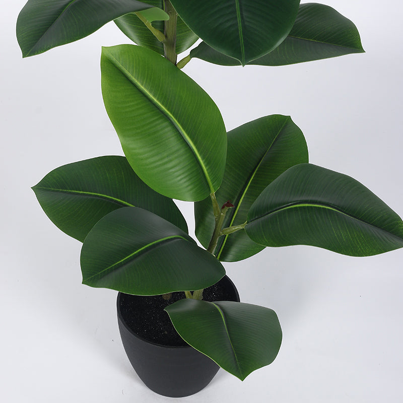 Leafis Artificial Rubber Plant With Black Plastic Pot - 4 Feet media 4