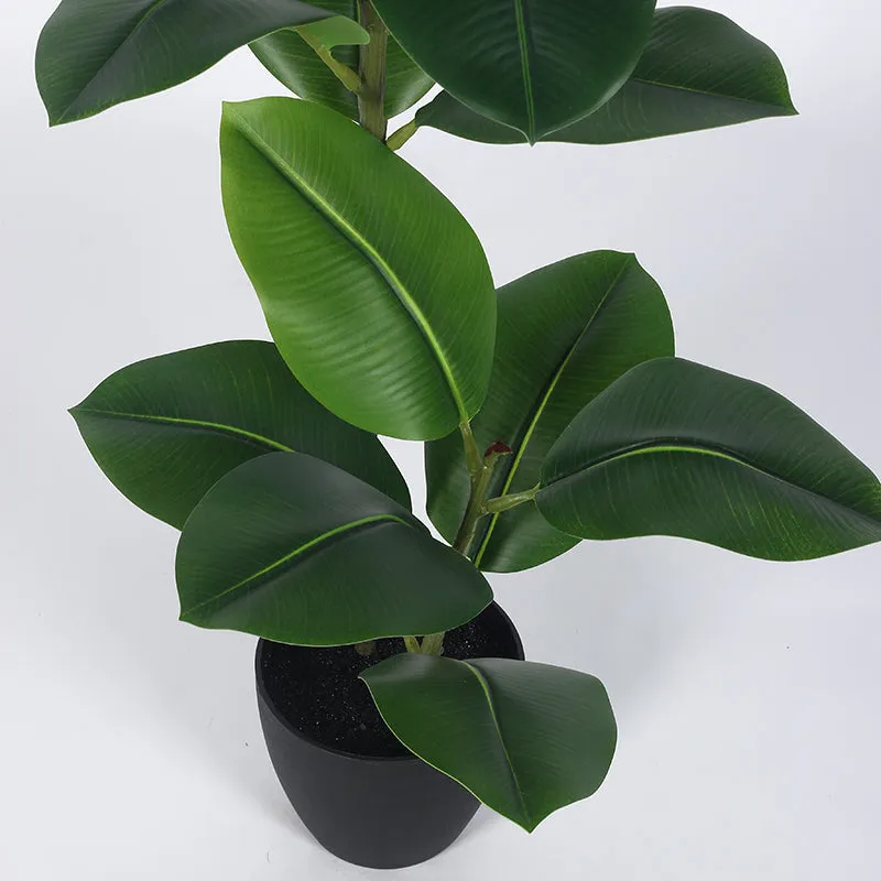 Leafis Artificial Rubber Plant With Black Plastic Pot - 4 Feet media 4