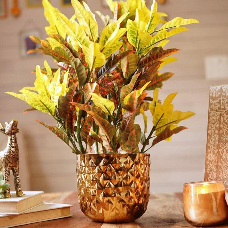 Pineapple Poga Planter media 3