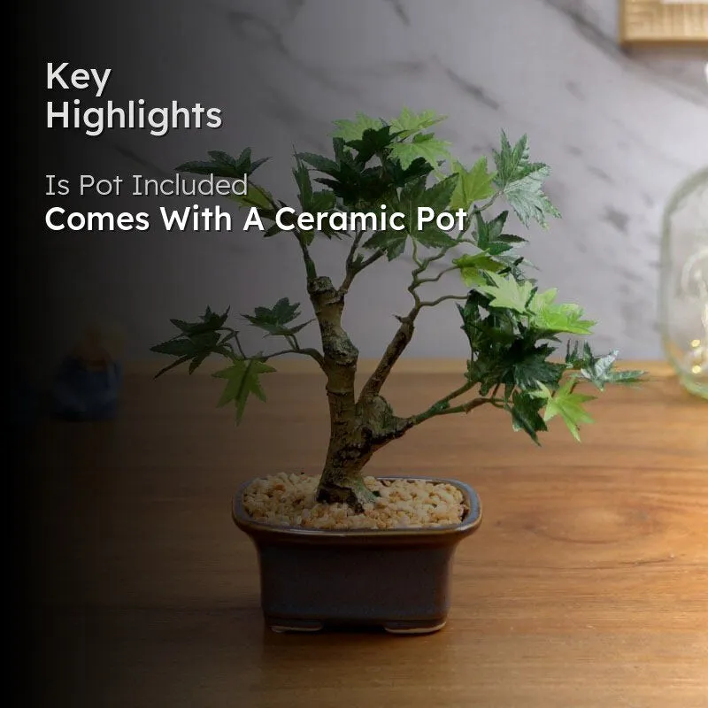 Faux Maple Bonsai In Tub Pot (23 cms) - Green media 2