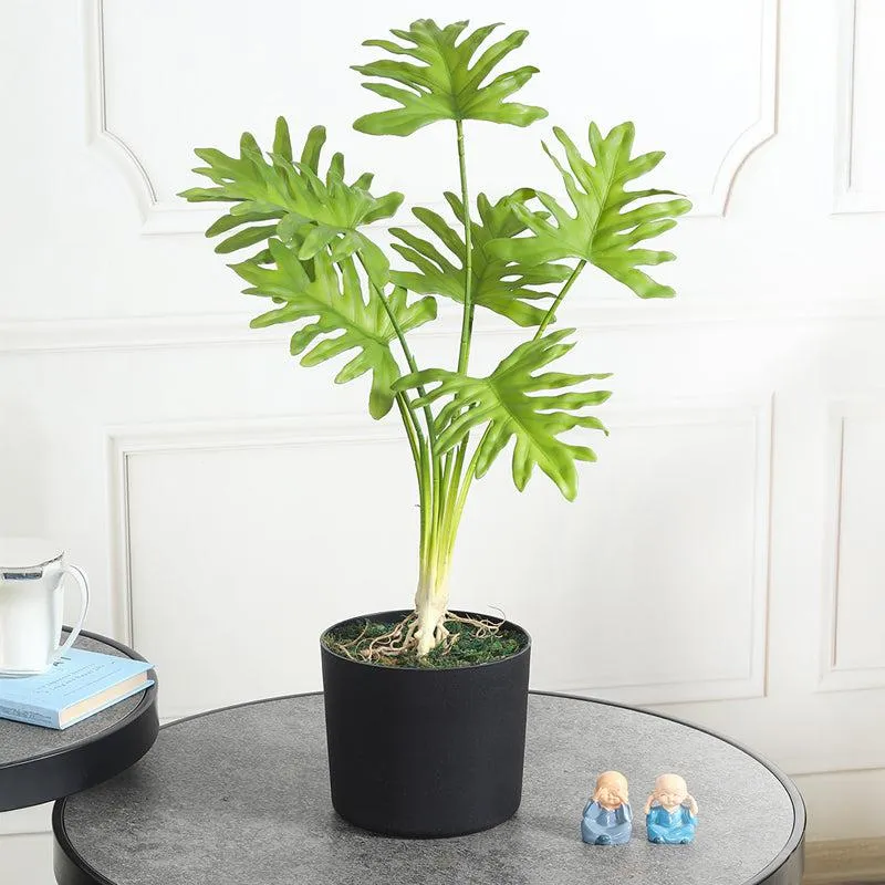 Eden Oasis Artificial Plant With Black Plastic Pot media 2