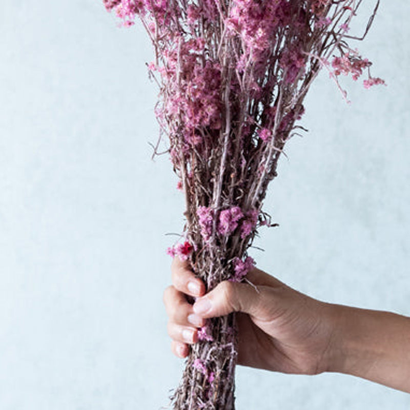 Gypso Glam Dried Flower Bunch - Pink media 5