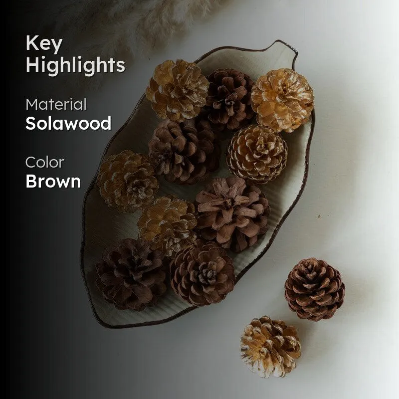 Ignatio Pine Cones - Set Of Ten media 2