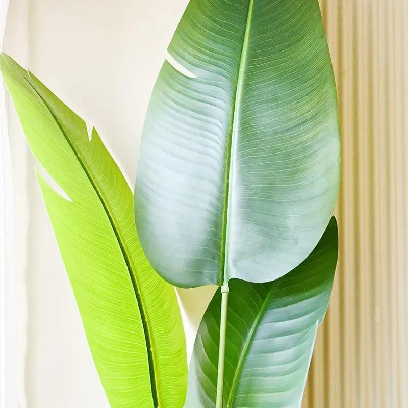 Artificial Banana Tree With Black Plastic Pot - 220 cm (7.2 ft) media 6