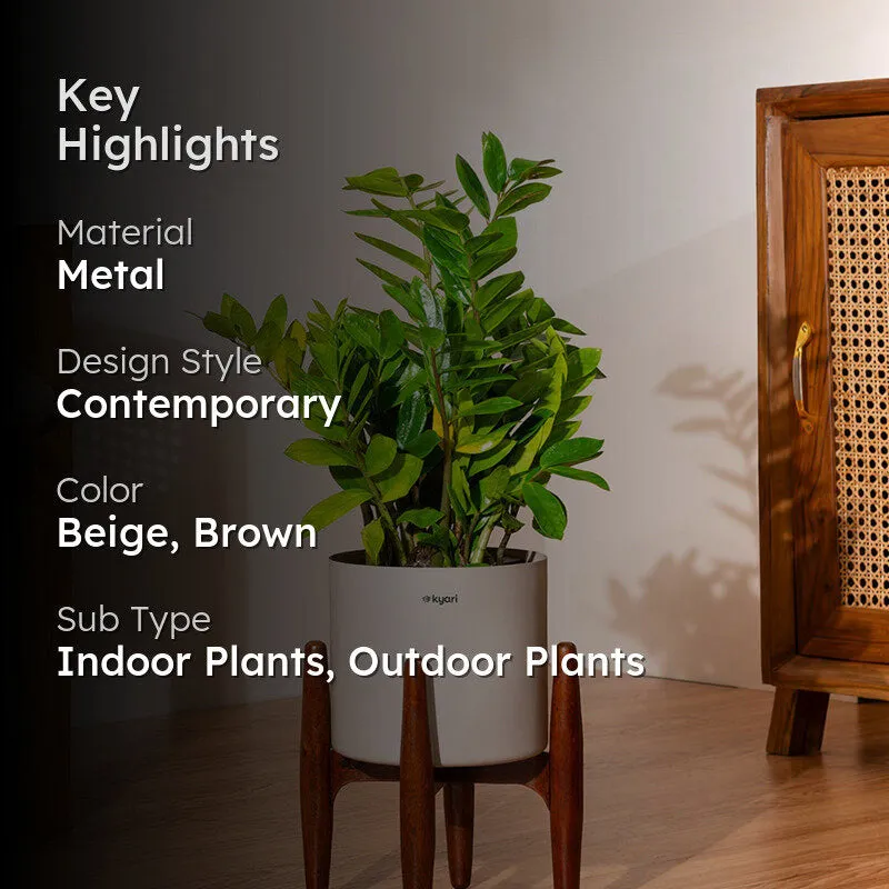 Kyari Green ZZ Plant With Metal Self Watering Pot (Beige) media 2