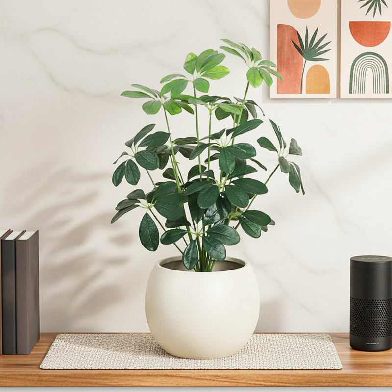 TropiLeaf Schefflera Artificial Plant Without Pot - 2.3 Feet