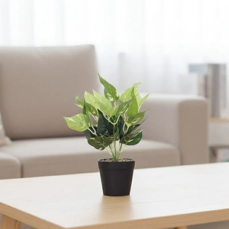 Artificial Pothos Plant With Black Pot (Green) - 0.9 Feet media 5