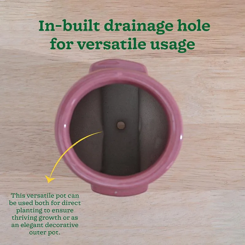 Ugaoo Minimalica Ceramic Planter - Pink media 7