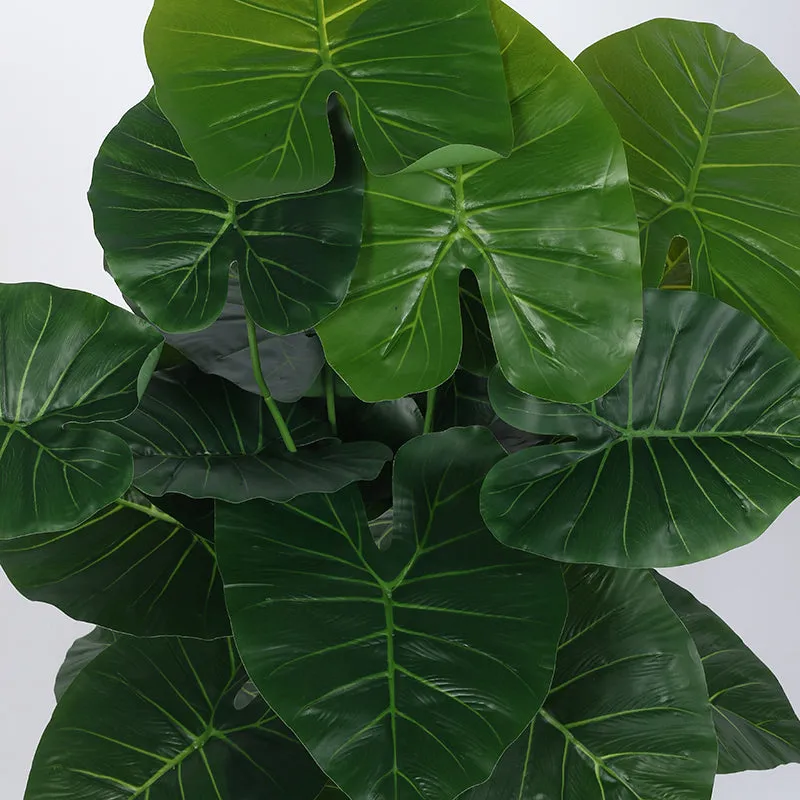 Leafend Artificial Rubber Plant With Black Plastic Pot - 2.6 Feet media 4