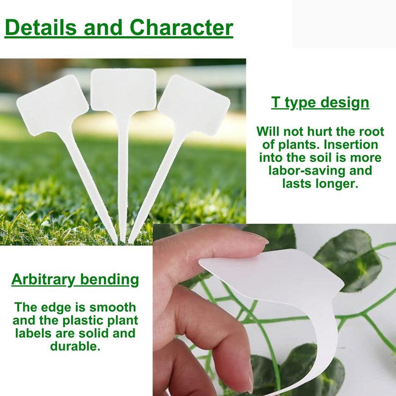 Texto Plant Marker - Set Of Hundred media 4