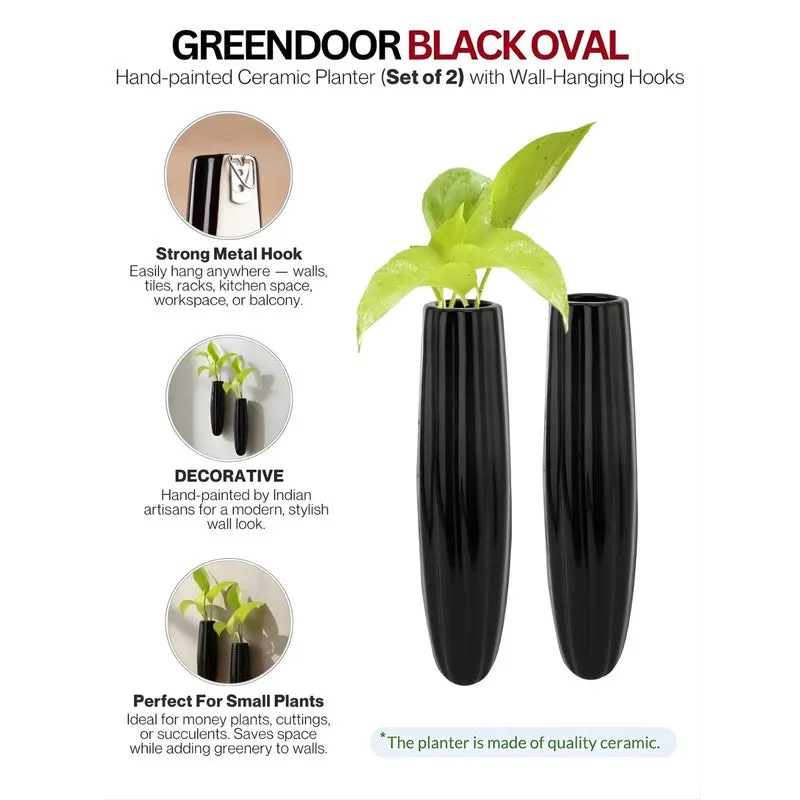 Yloria Pots & Planters (Black) - Set Of Two media 5