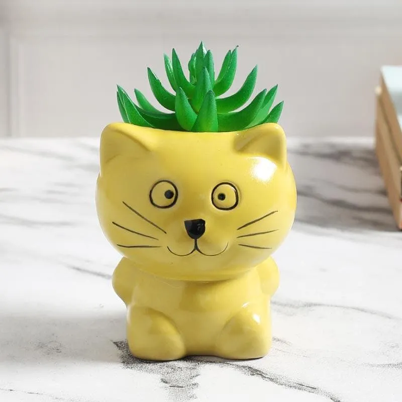 Faux Gasteria In Cat Face Pot - 13.5 cms media 1