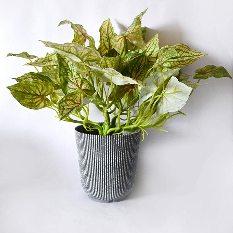 Caladia Artificial Caladium Plant With Black Plastic Pot - 40 cm media 3