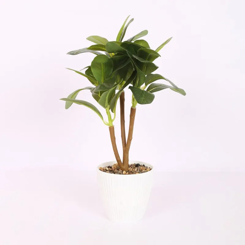Ficus Bonsai Artificial Plant With Black Plastic Pot - Green media 4