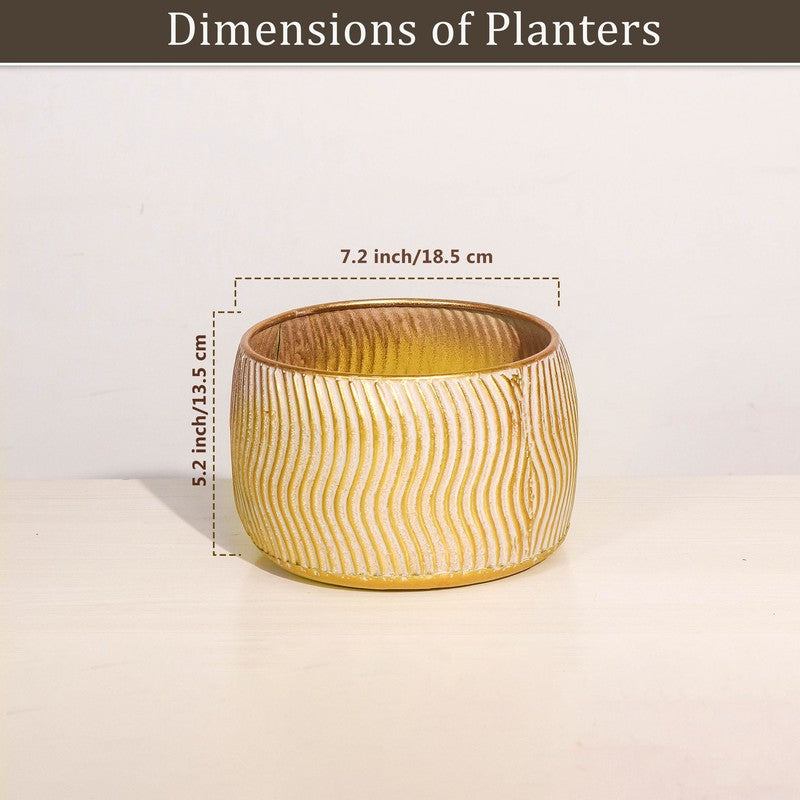 Suncrest Metal Planter media 6
