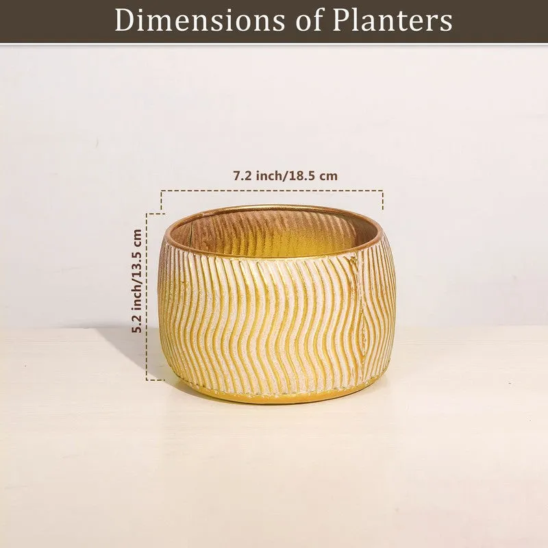 Suncrest Metal Planter media 6