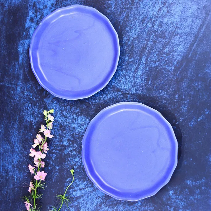Gino Ceramic Quarter Plate media 3