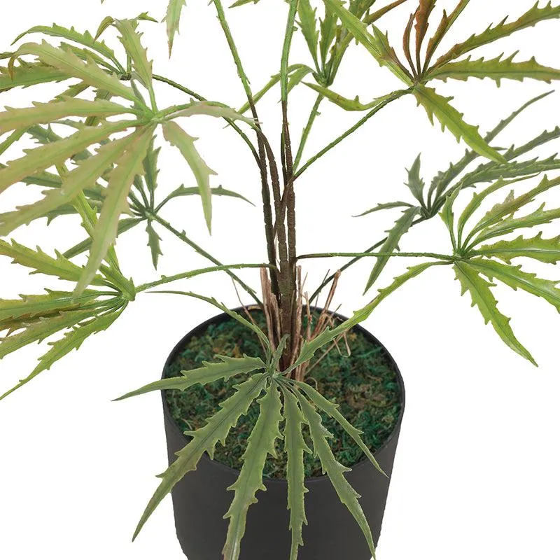 Botanic Reverence Artificial Plant With Black Plastic Pot media 6