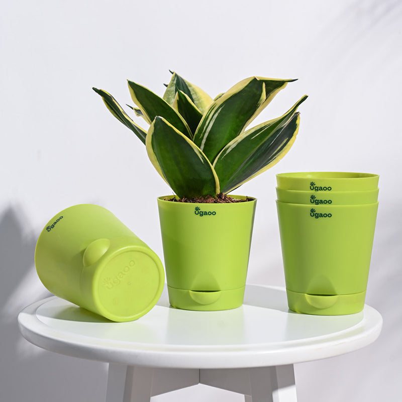 Ugaoo Bare Root Plastic Planter (Green) - Set Of Five media 2