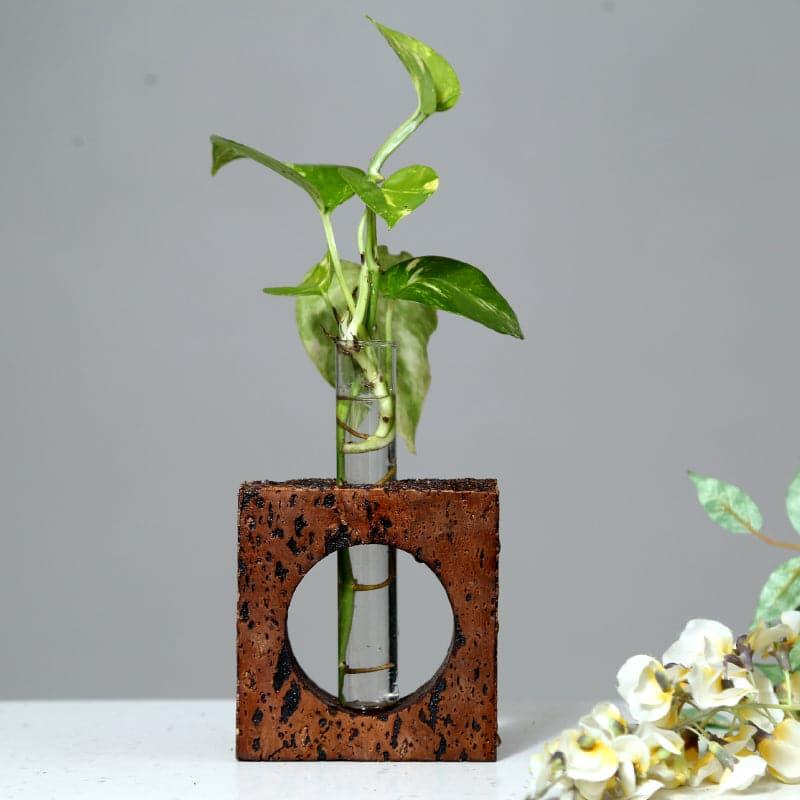 Ember Cork Testube Planter