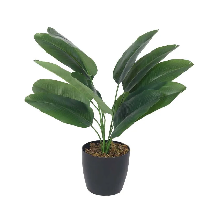 Faux Lush Bird of Paradise Plant With Black Plastic Pot - 1.5 Feet media 3