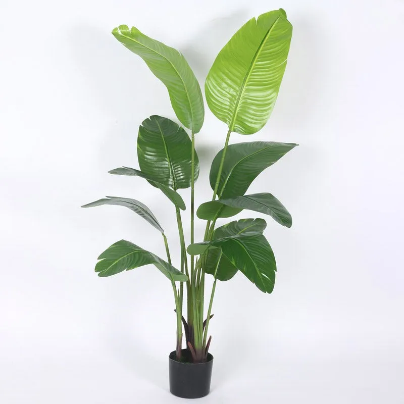 Faux Realtouch Banana Plant With Black Plastic Pot - 4.9 Feet media 4