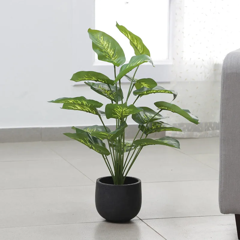 Faux Tropical Dieffenbachia Silk Plant With Black Plastic Pot - 2.13 ft media 3