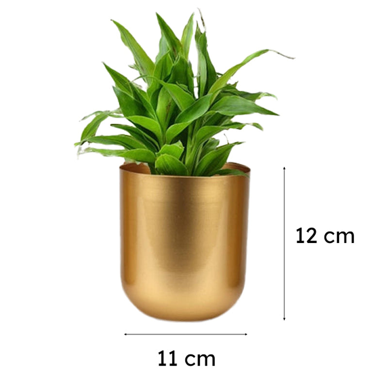 Ruba Neita Planter (Gold) - Set Of Two media 7