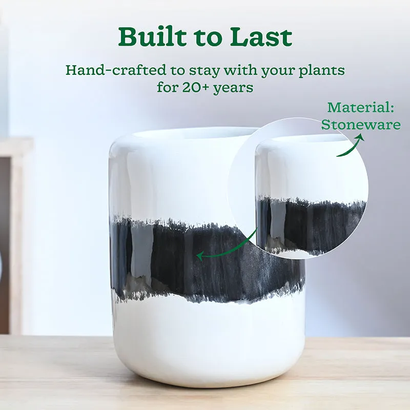 Ugaoo Meadow Mate Ceramic Planter - Black media 3